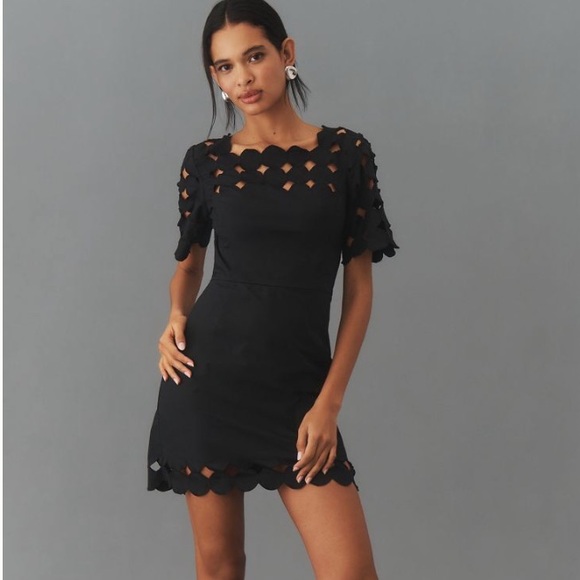 Anthropologie Dresses & Skirts - NWT Anthropologie Cutwork Mini Shift Dress